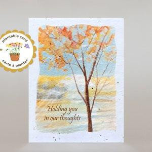 Sympathy card, plantable seed paper, eco-friendly, biodegradable, handmade card, Holding you in our thoughts