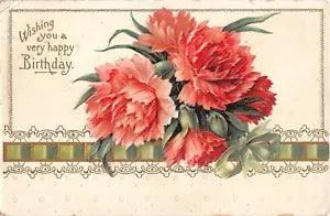 Lovely Pink Carnations on 1909 Birthday Postcard