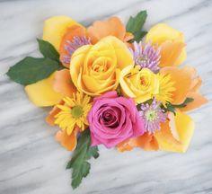 Freeze Dried Flowers for Holiday Centerpieces and Gifts | Harvest Right? | Home Freeze Dryers | Freeze Dried Food Storage Flower Delivery