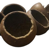 Kuchila Pods - Small Pods of Strychnos Nux-Vomica - Natural Home Terrarium & Vivarium Decor - Hiding Spots for  Gecko, Spiders and Even Fish