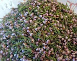 forest Natural dried Wildflower heather, Purple flowers sleep TEA Soap Crafts