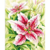 Cross-stitch kit  Lilies 2000  Riolis