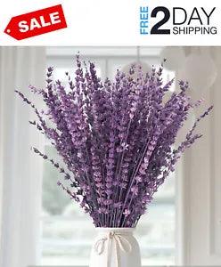 120+Stems Dried Lavender Flowers Bundle-Dried Preserved Lavender Bouquet 15-17"