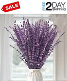 120+Stems Dried Lavender Flowers Bundle-Dried Preserved Lavender Bouquet 15-17"