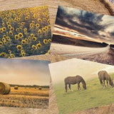Set of 4 Prairie Landscape Postcards | Horse Postcards | Country Postcard Set | Sunflowers Post Cards | Sending a Warm Greeting