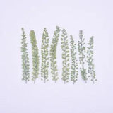 12PCS Real Pressed Dry leaf, leaves with stem for art, candle DIY FCD40