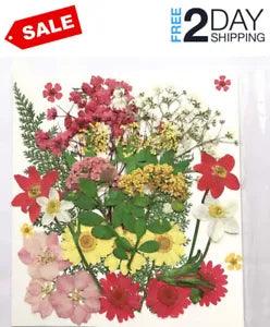 Pressed Flowers, 35 PCS Real Dried Flower Natural Leaves Plant for Resin Soap