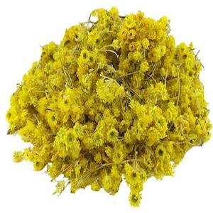 Everlasting Organic Flower | Yellow Chaste Weed | IMMORTELLE Helichrysum arenarium