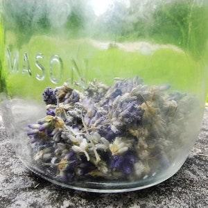 Lavender Seed Mix - Heirloom and Vincenza Blue