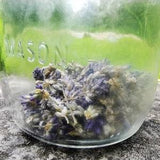 Lavender Seed Mix - Heirloom and Vincenza Blue