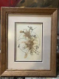 Botanical Wall Art Framed Dried Pressed Flower Preserved Signed D. Schultz