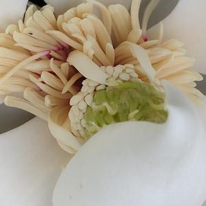 Orchid: White Wedding Cream Green