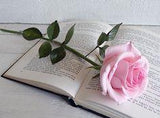 Pink Rose Flower Arrangement Real Touch Flowers Roses Stem Red Fake Flowers Stems Floral Table Centerpiece - Etsy Flower Delivery