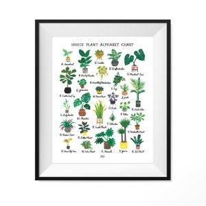 House Plant Alphabet Chart Art Print