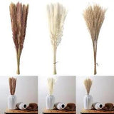 Natrual Dried Pampas Grass Bouquet Bunch Reed Flowers Floral Crafts Decor