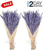 Dried Lavender Bundles Natural Dried Lavender Flowers 280-300 Stems 16??? for Home
