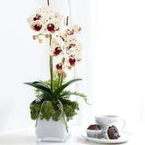 Artificial orchid arrangements- Faux orchid centerpiece- White orchids -Floral arrangement