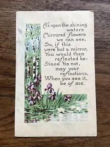 divided unposted Postcard water's edge scene birch trees irises water lilies