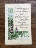 divided unposted Postcard water's edge scene birch trees irises water lilies