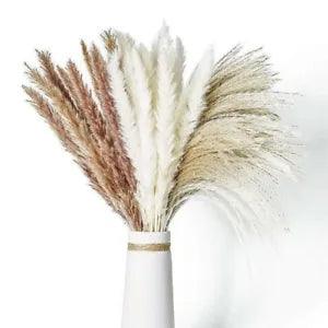 NEW LISTING60 PCS Pampas Grass Natural Dried Reed Flower Bunch Home Wedding Decor Bouquets
