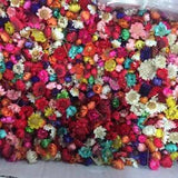 1g Small Dried Flower Head Daizy Glass Cover Nail Art Filling Epoxy Craft DIY
