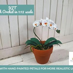Kit miniature plants white Moth Orchid dollhouse miniatures in 12th scale DIY Phalaenopsis