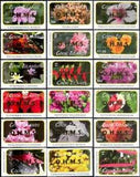 Cook Islands 2010 Flowers/Plants/Nature/OHMS overprint/Roses/Lily 18v set b6225y