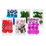 1 Bag Dried Flowers Leaves for DIY Candle Epoxy Resin Jewelry  Crafts