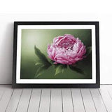 Masterful Peony Flower Framed Wall Art Poster Print Home Decor Picture Large