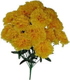 Yellow Carnation 14-Bloom 21