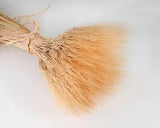 Large Dried Wheat Bundle 1Lb Short Stem Single Bunch
