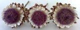 Lot of 3 Real Dried Artichoke Flowers 5-6 Inches Wide on Natural Stems - Lot 18
