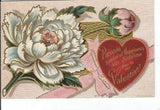 CH-112 Valentine, Paeonia, Peony Flower Sublime Divided Back Postcard
