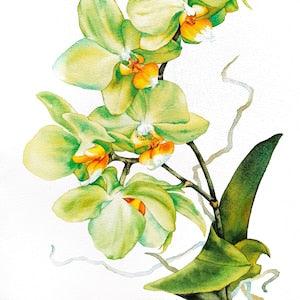 Original watercolor yellow orchid painting, Realistic watercolor flower painting, Floral wall decor, Flower wall art, Aesthetic painting