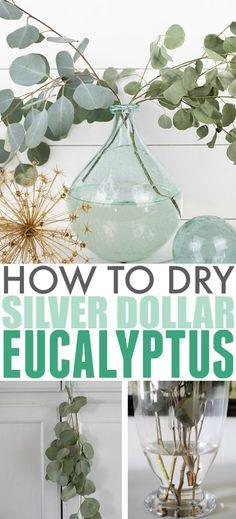 How to Dry Silver Dollar Eucalyptus | The Creek Line House Flower Delivery