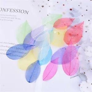 6pcs/Set Dried Leaf Vein Organic Bookmark Collection DIY Decoration Accessories