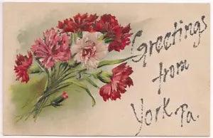YORK PA Postcard GLITTER GREETINGS Flower Bouquet Carnation? PENNSYLVANIA 1910's