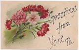 YORK PA Postcard GLITTER GREETINGS Flower Bouquet Carnation? PENNSYLVANIA 1910's
