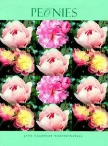 Peonies by Fearnley-Whittingstall, Jane
