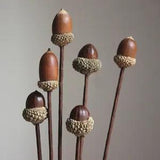 5X Natural Dried Flower Acorns Fruits Branch Ornament Festival Party Table Decor
