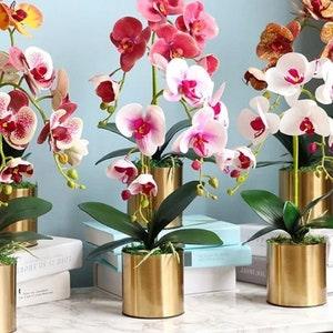 Artificial Orchid, Make your own Orchid Plant, Christmas Gift, with Leaves, Real Look Orchids Faux Orchid Phalaenopsis.  Pot not included.