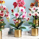 Artificial Orchid, Make your own Orchid Plant, Christmas Gift, with Leaves, Real Look Orchids Faux Orchid Phalaenopsis.  Pot not included.