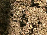 No.30 Mix- Marshmallow Mullein Willow Poppy Skullcap Feverfew Passion - 4 Ounces