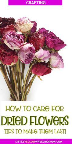 How Long Do Dried Flowers Last? Flower Delivery