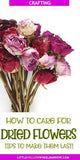 How Long Do Dried Flowers Last? Flower Delivery