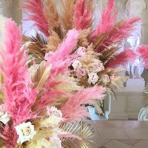50 +seeds pink Pampas Grass Cortaderia selloana perennial