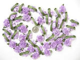 Lavender 1 1/2