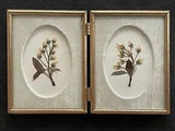 Pressed Pink Flowers Matted In A Vintage Frame
