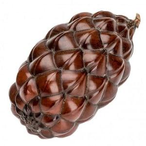 Thika Pod - Decorative Palm Fruit - Thika Nut - Beautiful Brown-Red Shell - Thika Nut Contains Turnable Thika Nut Seeds.