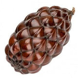 Thika Pod - Decorative Palm Fruit - Thika Nut - Beautiful Brown-Red Shell - Thika Nut Contains Turnable Thika Nut Seeds.